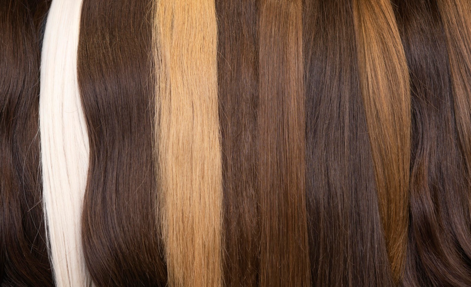 Best Wholesale Raw Indian Hair Vendors in India for Premium Quality Hair